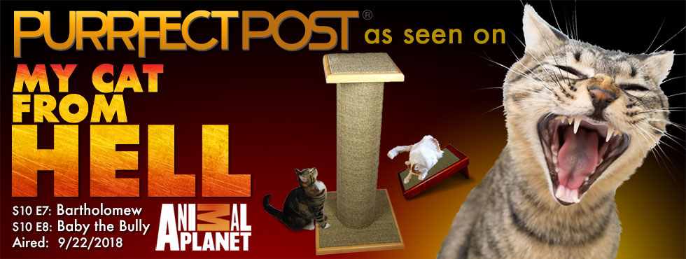 Purrfect Post as seen on My Cat From Hell on Animal Planet 9/22/2018
