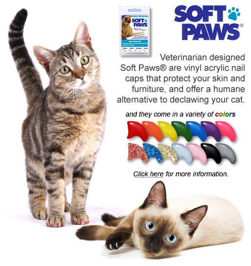 Veterinarian designed Soft Paws® are vinyl acrylic nail caps that protect your skin and furniture, and offer a humane alternative to declawing your cat.